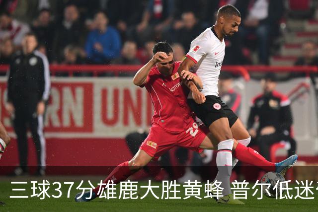 三球37分雄鹿大胜黄蜂 普尔低迷奇才负尼克斯